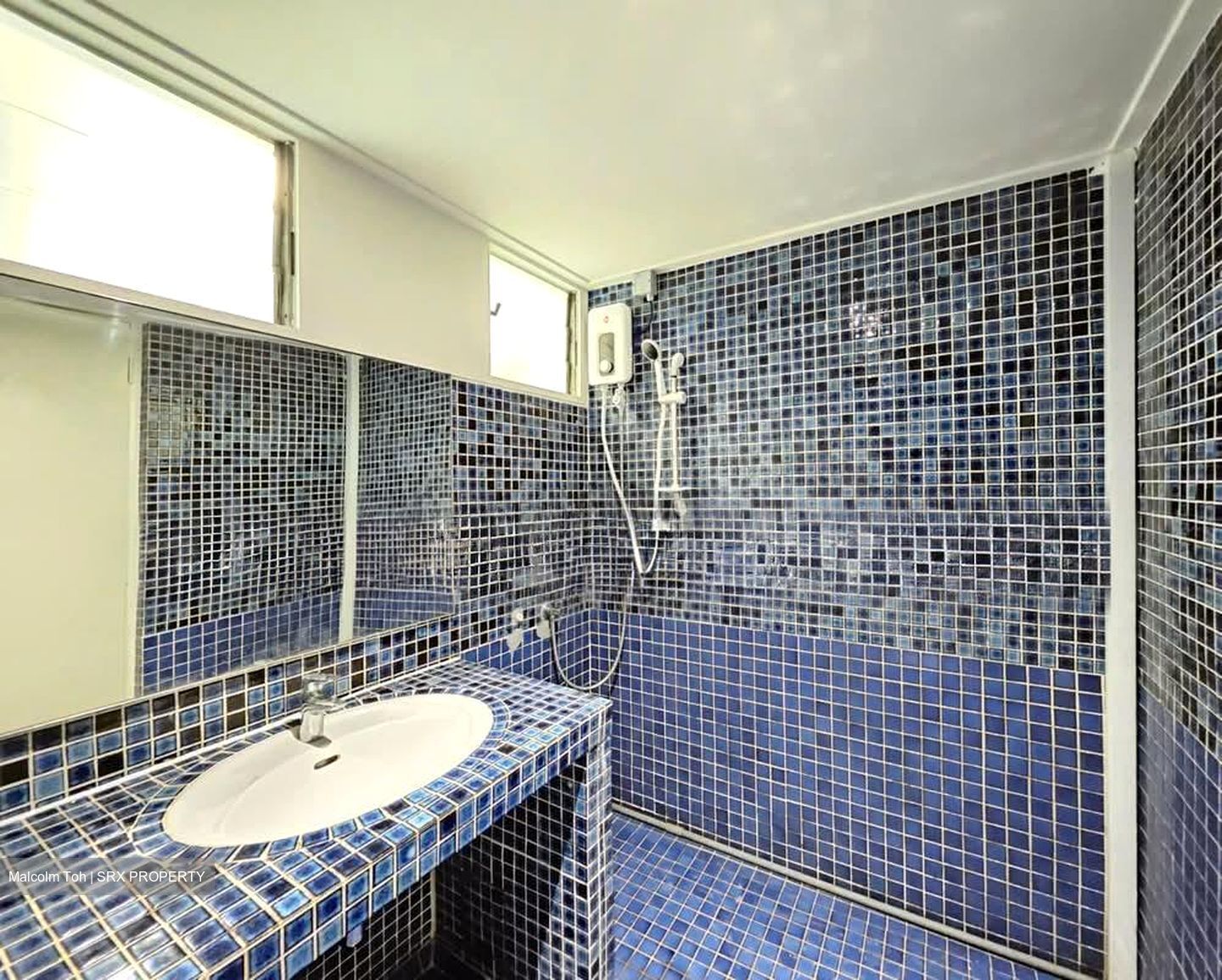 Dunearn Road (D11), Condominium #599359631
